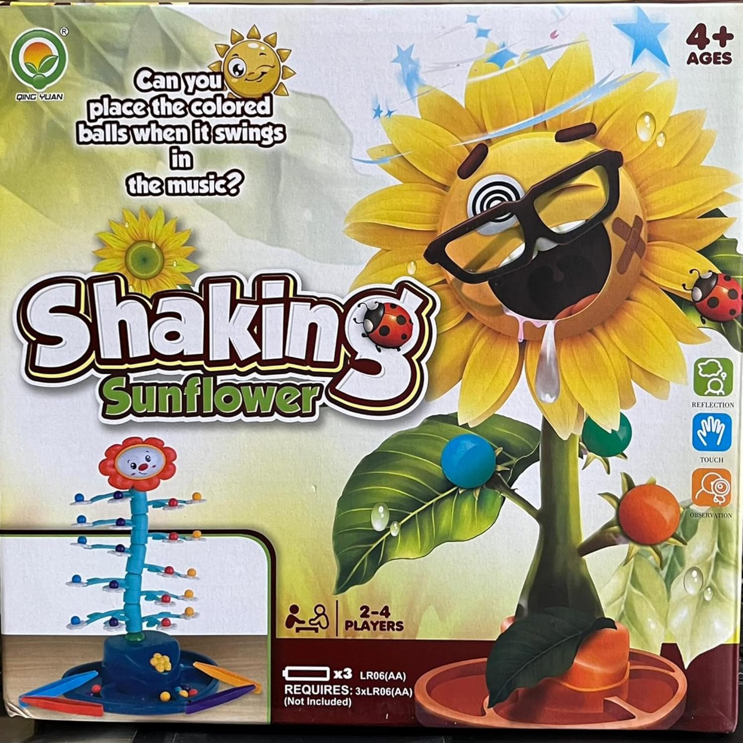 Shaking Sun Flower view 6