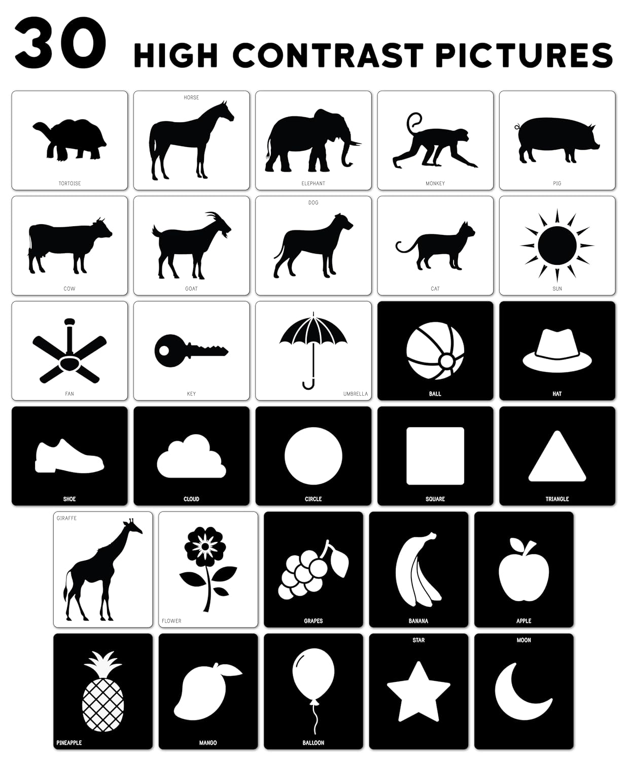 Baby Flash Cards view 5