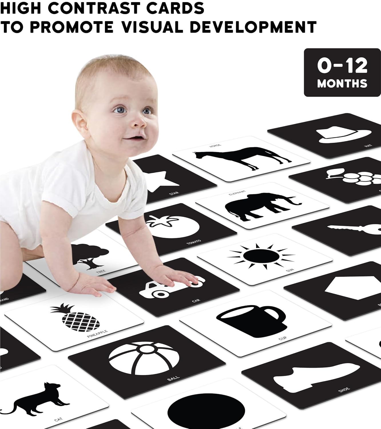 Baby Flash Cards view 4